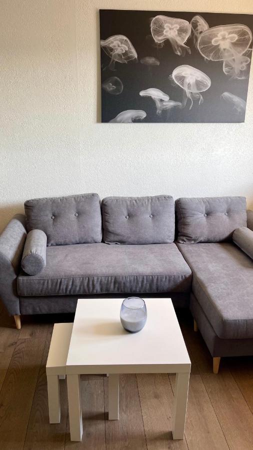 Studio Cocooning Hauteur De Saint-Raphael #2 Exterior foto